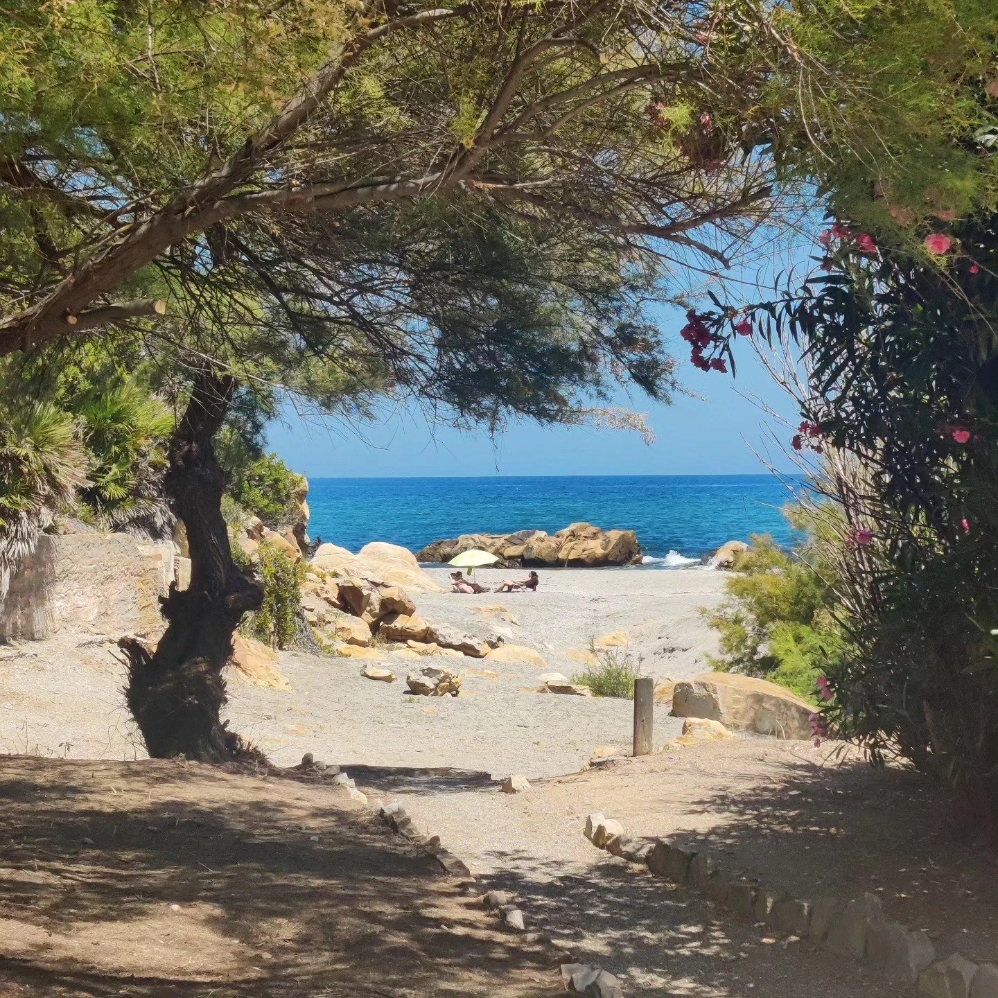 playa paraiso 1