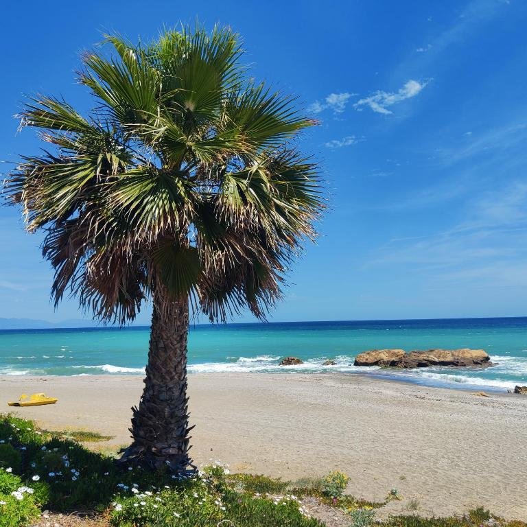playa paraiso