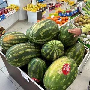 WhatsApp Image 2025-10-12 at 20.54.12